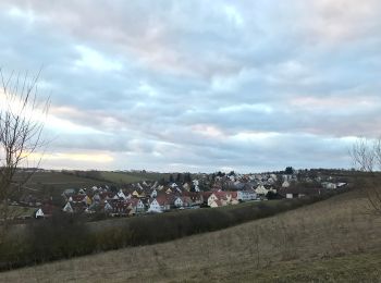 Tour Zu Fuß  - S 08 Regensburg-Graß - Hohengebraching (Rotes Dreieck) - Photo