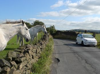 Percorso A piedi Stockport - Cown Edge Way - Photo