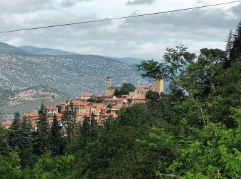 Excursión Senderismo Casteil - Vernet les Bains - Photo