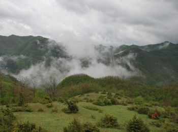 Randonnée A pied Santa Sofia - Dai prati delle Mandriacce alla Burraia - Photo