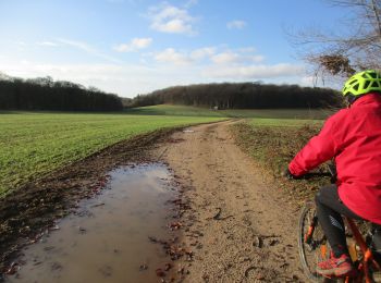 Excursión Bici de montaña Foulain - Ruisseau de Moiron, Région Foulain - Photo