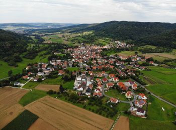 Excursión A pie Leutenbach - Georg-Kanzler-Gedächtnisweg - Photo