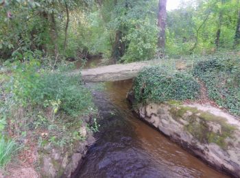 Tour Wandern Aubigny-Les Clouzeaux - AUBIGNY  - Photo