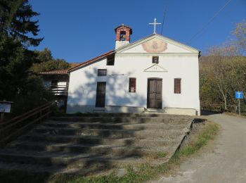 Tour Zu Fuß Val della Torre - IT-001 - Photo