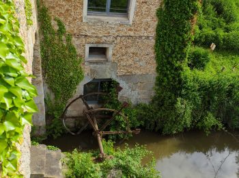 Percorso Corsa a piedi Voisins-le-Bretonneux - domaine d'Or - Photo