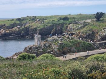 Tour Wandern L'Île-d'Yeu - Île d'Yeu est - Photo