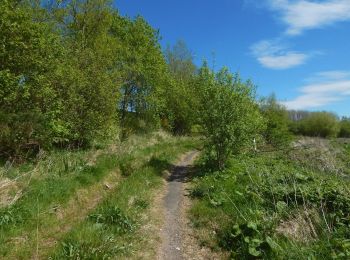 Tour Zu Fuß  - The Shore Circular Path - Photo