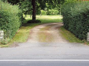 Randonnée A pied Eschede - Südheide 'Beim Hecht im Karpfenteich' W14l (lange Tour) - Photo