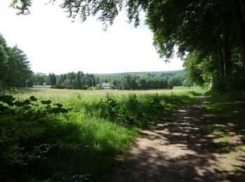 Randonnée A pied Raeren - GrenzRouten: Rundweg Köpfchen - Photo