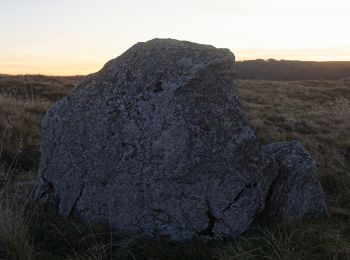 Excursión A pie Besse-et-Saint-Anastaise - La Chapelle de Vassivière - Photo