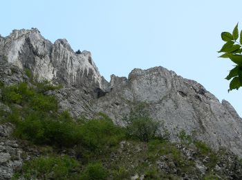 Randonnée A pied Petreștii de Jos - Circuitul Cheilor Turzii - Photo