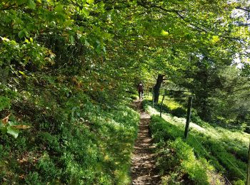 Percorso Marcia Le Bonhomme - 2020-06-18 DW10+ Col du calvaire / Etang du Devin / Carrefour Duschene - Photo