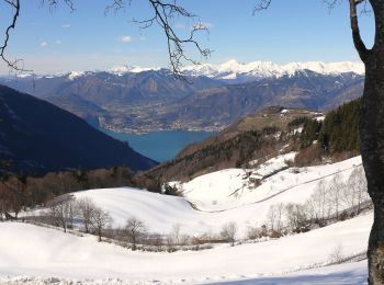 Tour Zu Fuß Pisogne - Malghe in Rete - Trekking - Le Valli Tappa 1 - Photo