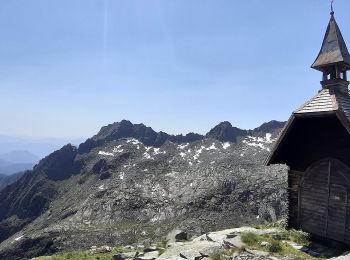 Percorso A piedi Valdaone - Sentiero del Passo delle vacche - Photo