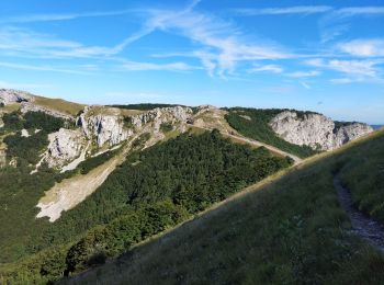 Randonnée Marche Omblèze - Roc du Toulau (Vercors). - Photo