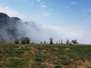 Tour Wandern Les Déserts - Nivolet - Photo