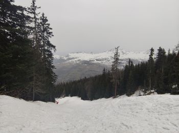 Excursión Raquetas de nieve Peisey-Nancroix - direction les arc 1800 raquette - Photo