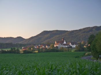 Tour Zu Fuß Kappel am Albis - Chlostermatt - Ober Rifferswil - Photo