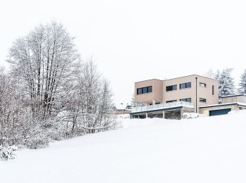 Percorso A piedi Eichgraben - Eichgraben - Hochstraß - Photo