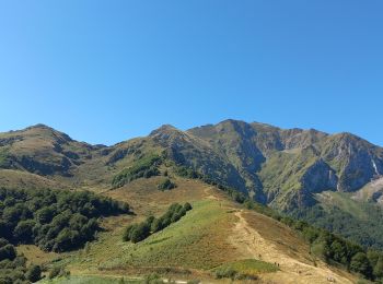 Trail Walking Bethmale - Cap de Bouirex - Photo