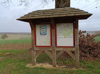 Excursión Senderismo Vauchassis - Balade en forêt d'Hothe - Photo