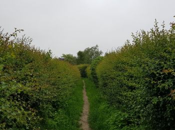 Tocht Stappen Luik - Rocourt - Oupeye - Rocourt  - Photo