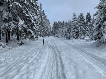 Randonnée Raquettes à neige Malmedy - Randonnée raquettes Mont Spinette-Malmédy - Photo