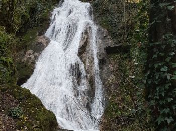 Trail Walking Groissiat - Groissiat pied de mule Cascade  - Photo