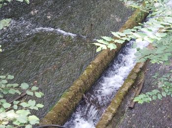 Randonnée Marche Bailleul-la-Vallée - Bailleul la Vallée : la randonnée qui monte  - Photo