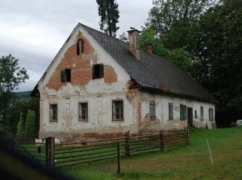 Randonnée A pied Sankt Stefan ob Stainz - GenussSchilchern da Westliche Runde - Photo