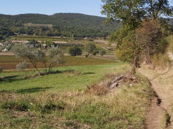 Tour Wandern Malaucène - Malaucene-Crestet-Vaison la Romaine  - Photo