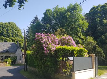 Tour Rennrad Brive-la-Gaillarde - balade 50 km Beynat Chastang Aubazine Brive  - Photo