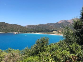 Tocht Stappen Cargèse - Cargese - Photo