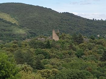 Randonnée Marche Soudorgues - Vallée Salindrenque - Photo