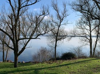 Randonnée Marche Léry - Tour du lac de poses - Photo