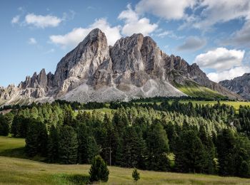 Excursión A pie San Martin de Tor - San Martino in Badia - St. Martin in Thurn - IT-8 - Photo