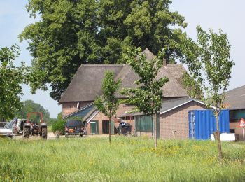 Tocht Te voet Lochem - Kring van Dorth route - Photo