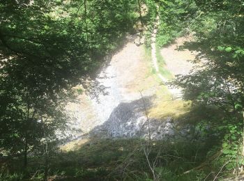 Excursión Senderismo Saint-Étienne-lès-Remiremont - Le Saint Mont boucle 13,9kms - Photo