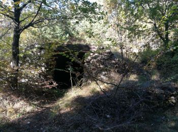 Percorso Marcia Savines-le-Lac - Champ Granet 161021 - Photo