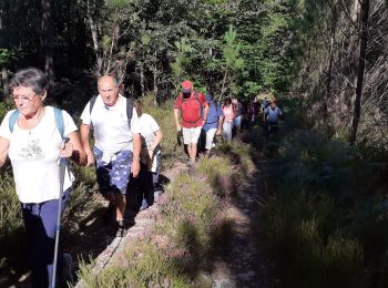 Excursión Senderismo Sorges et Ligueux en Périgord - sorges ouest  - Photo