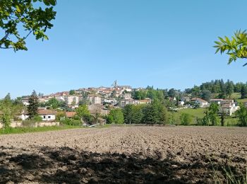 Tocht Stappen Saint-Galmier - Saint Galmier du 04-05-2023 - Photo