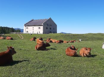 Percorso A piedi Trento - IT-E446 - Photo