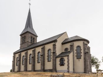 Tour Zu Fuß Saint-Genès-Champespe - Le Lac de la Crégut - Photo