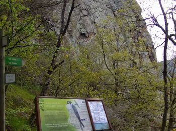 Trail Walking Chamalières-sur-Loire - Suc de Bartou - Rocher de Costaros - Photo