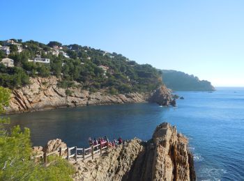 Tour Wandern Ensuès-la-Redonne - Ensuez la redonne vers Niolon - Photo