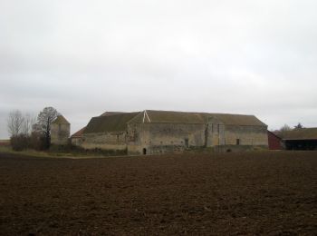 Trail On foot La Brosse-Montceaux - Les Plaines du Sud - Photo