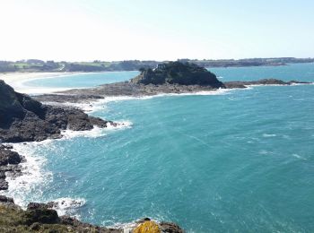 Tour Wandern Cancale - Cancale - Pointe du Grouin  - Photo