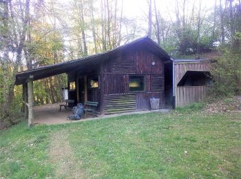 Excursión A pie Mörlenbach - Rundwanderweg Mörlenbach 5: Bonsweiher-Wanderung - Photo