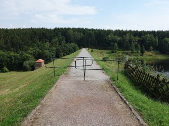 Randonnée A pied Oberharz am Brocken - Drei Annen Hohne-Mandelholz - Photo