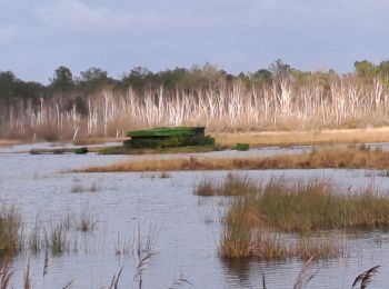 Randonnée Marche Carcans - çanal des etangs - Photo